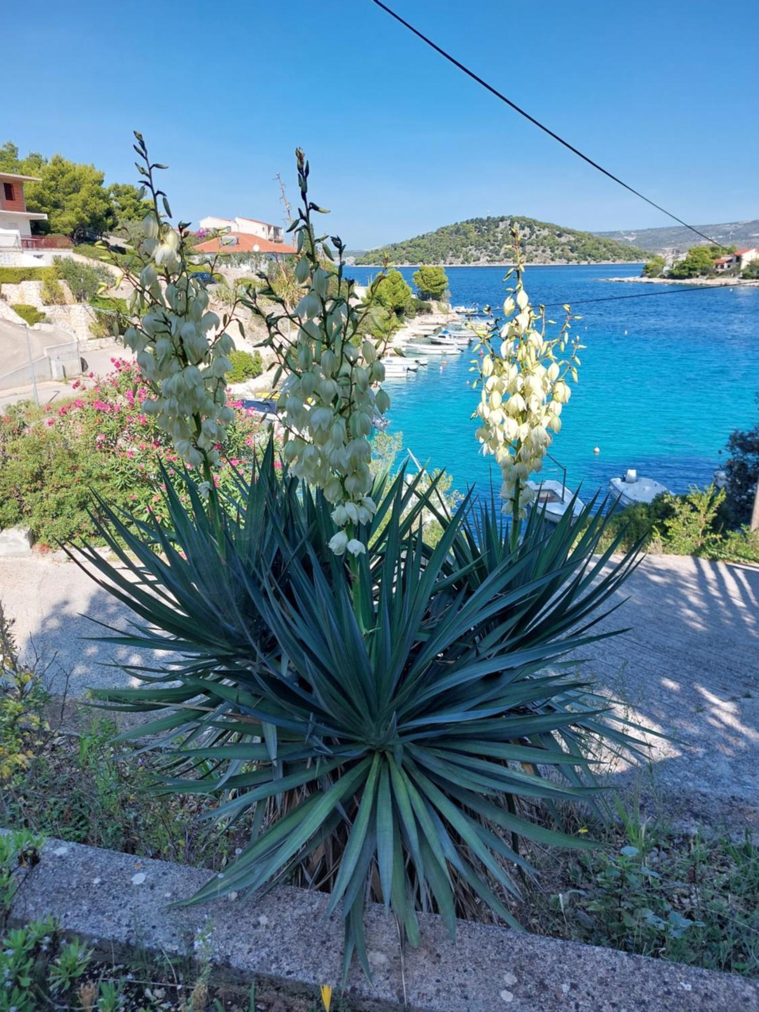 Villa Speranda Ražanj Esterno foto